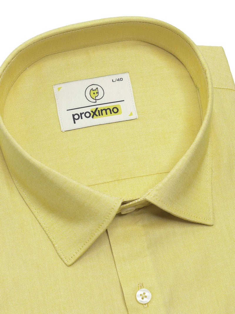 Ochre Yellow Solid Classic