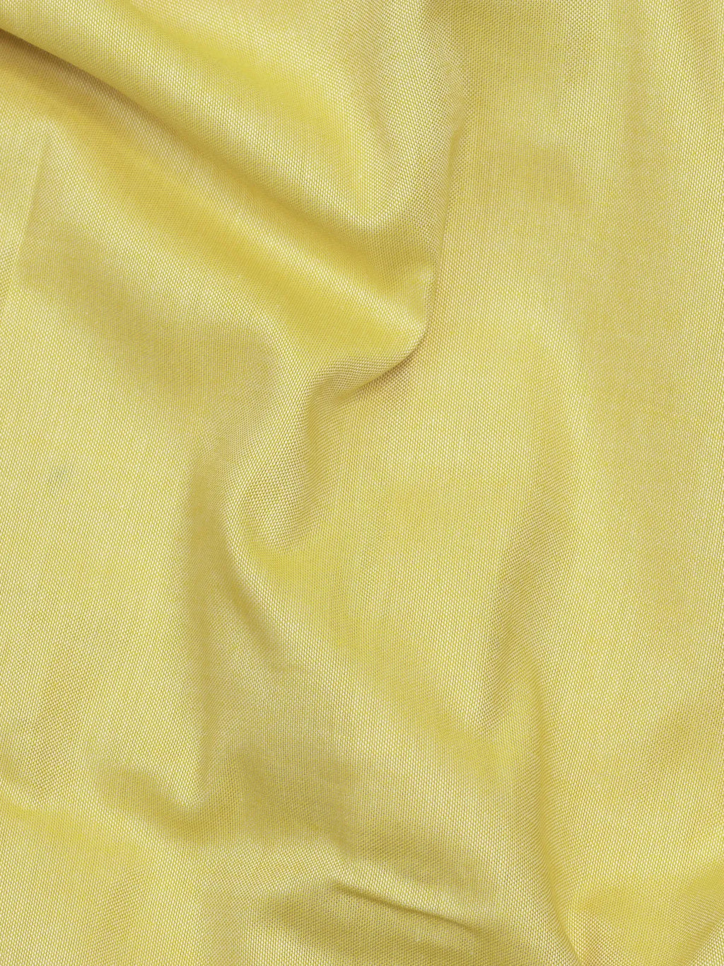 Ochre Yellow Solid Classic