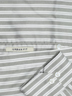 Olive Grey Stripe Bengal